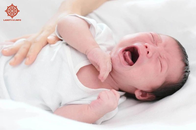 mơ vợ đẻ con trai